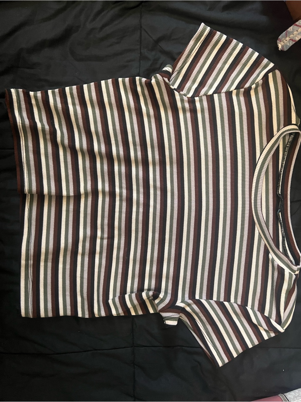 One Step Ahead Short Sleeve Striped Knit Top In Brown, Cream, Black And Green